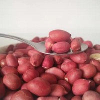 紅花生現(xiàn)貨批發(fā) 花生特產(chǎn)小吃堅(jiān)果零食 紅皮花生米廠家代發(fā)