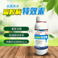 流膠病特效素殺菌劑黃瓜茄子桃樹(shù)檸檬流膠病穿孔病柑橘瘡痂病農(nóng)藥