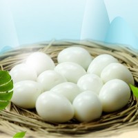 廠家直銷(xiāo)九升脫殼鵪鶉蛋白水蛋火鍋串串香鹵蛋剝殼鵪鶉?guó)B蛋批發(fā)定