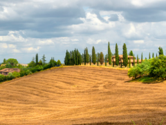 休閑農(nóng)業(yè)最重要的三個關(guān)口:休閑農(nóng)業(yè)最重要的三個關(guān)口