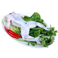 牛蛙鮮活新鮮特大田雞青蛙肉半成品牛蛙腿蛙肉冷凍串商用批發(fā)