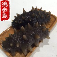 大連海參長?？h深海即食海參遼參500g一件代發口感好工廠加工批發