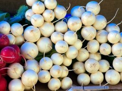 種植白蘿卜如何進(jìn)行土肥管理，管理要點(diǎn)都有哪些？